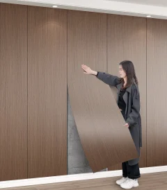 kf-Sddb8801ecba7403e83d51f8309aeedb3p